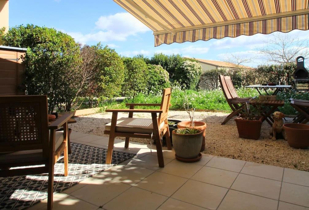 Cosy Appartement Entre Vignes Et Garrigue Avec Piscine Péret Dış mekan fotoğraf